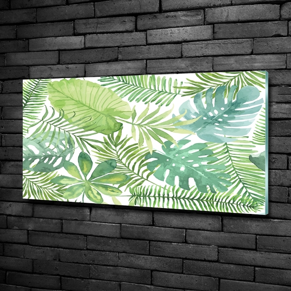 Quadro vetro Foglie tropicali