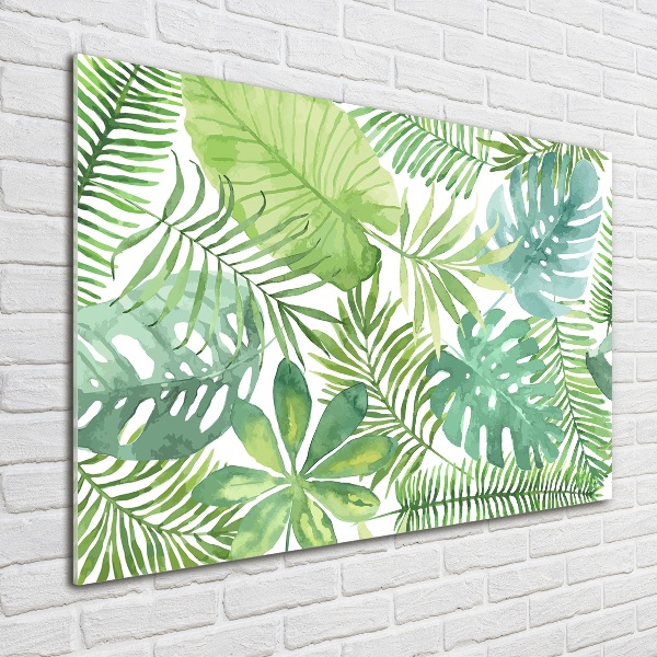 Quadro vetro Foglie tropicali