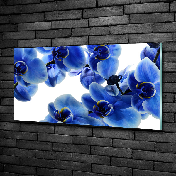 Quadro su vetro Orchidea blu