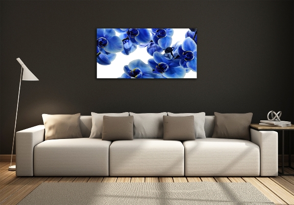 Quadro su vetro Orchidea blu