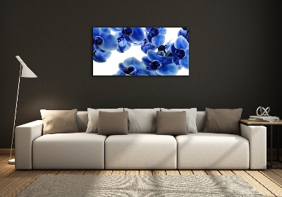 Quadro su vetro Orchidea blu