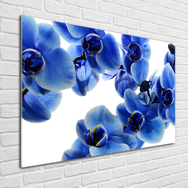 Quadro su vetro Orchidea blu