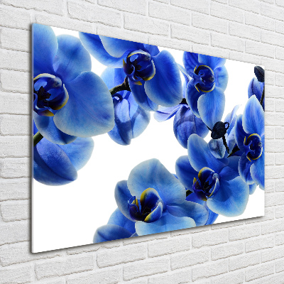 Quadro su vetro Orchidea blu