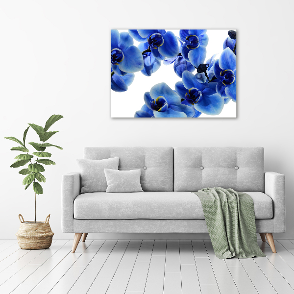 Quadro su vetro Orchidea blu