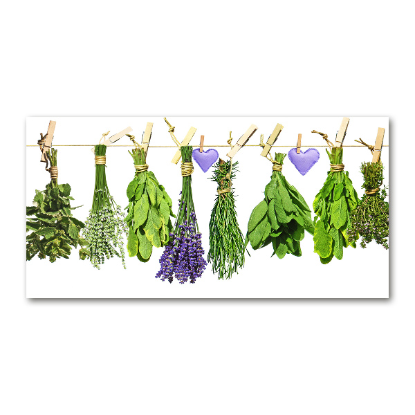 Quadro in verde Erbe aromatiche su un filo