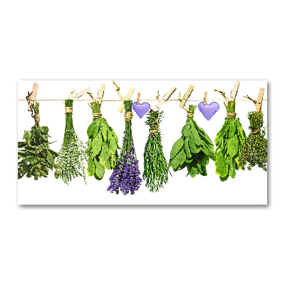 Quadro in verde Erbe aromatiche su un filo