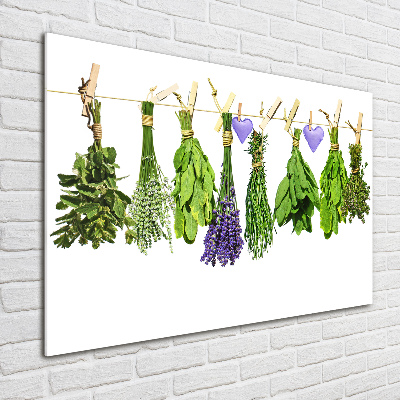 Quadro in verde Erbe aromatiche su un filo