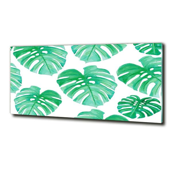 Quadro in verde Monstera