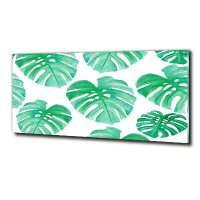 Quadro in verde Monstera