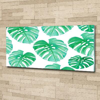 Quadro in verde Monstera