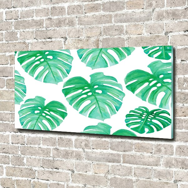 Quadro in verde Monstera