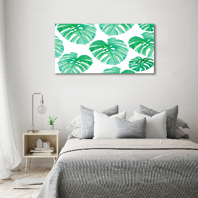 Quadro in verde Monstera