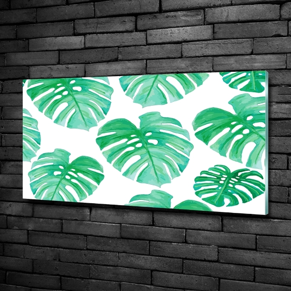 Quadro in verde Monstera