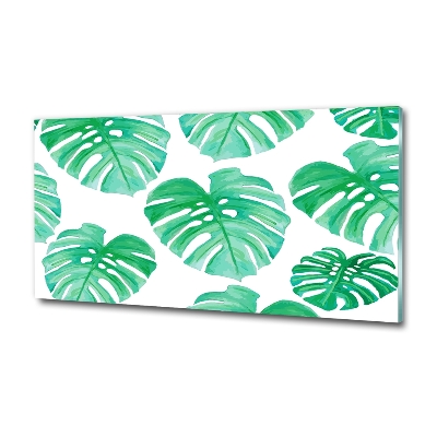 Quadro in verde Monstera