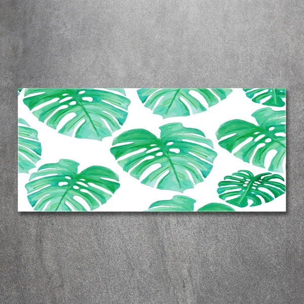 Quadro in verde Monstera
