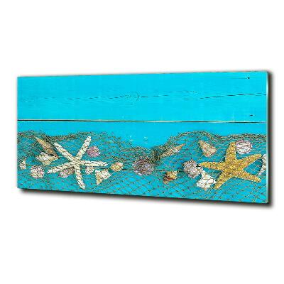 Quadro vetro Stelle marine e conchiglie