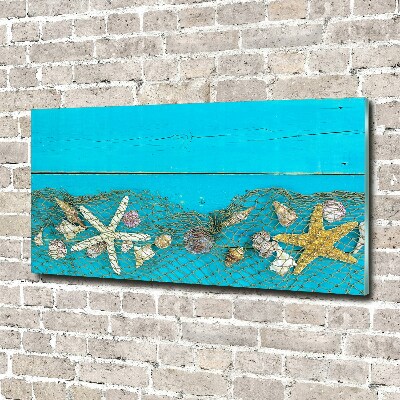 Quadro vetro Stelle marine e conchiglie