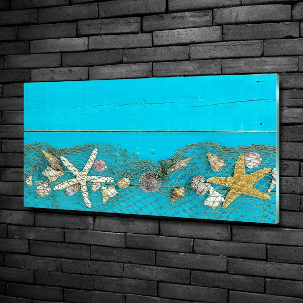 Quadro vetro Stelle marine e conchiglie