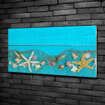 Quadro vetro Stelle marine e conchiglie