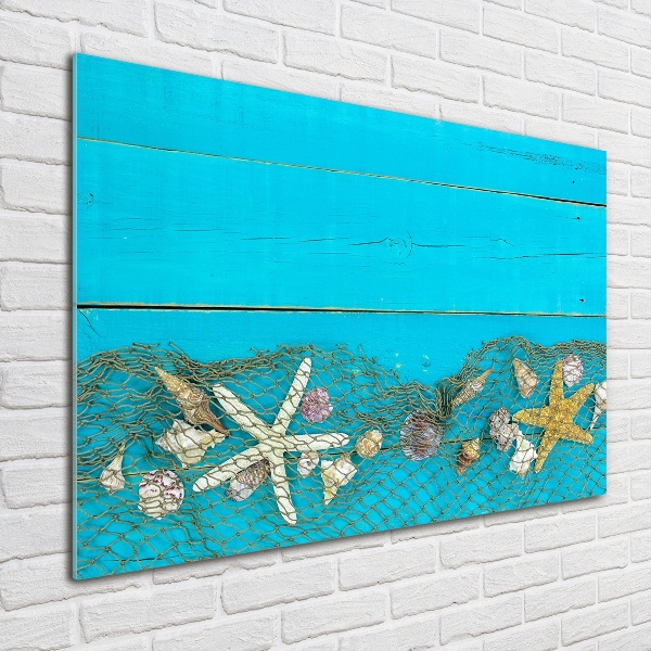 Quadro vetro Stelle marine e conchiglie