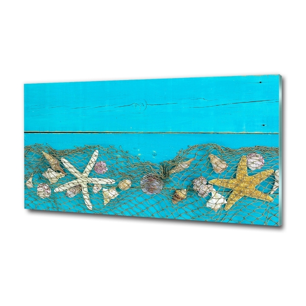 Quadro vetro Stelle marine e conchiglie