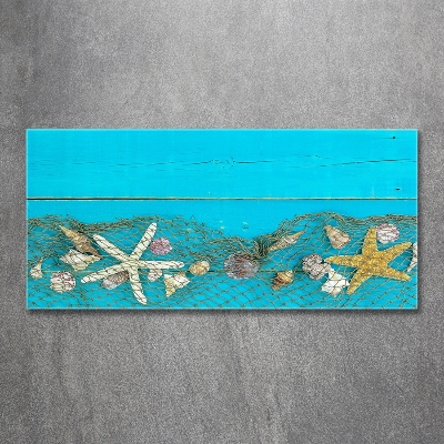 Quadro vetro Stelle marine e conchiglie
