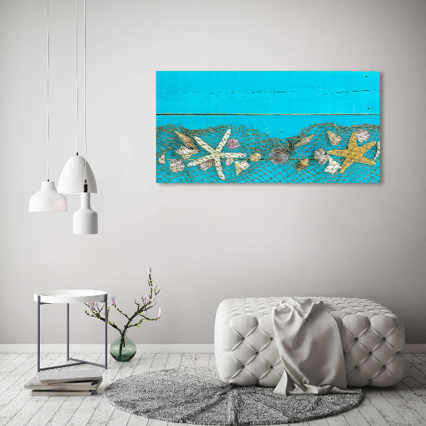 Quadro vetro Stelle marine e conchiglie
