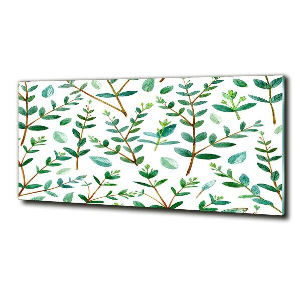 Quadro su vetro Eucalipto