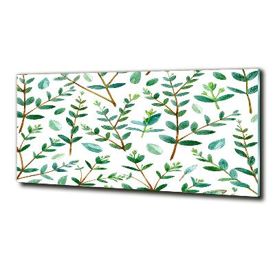 Quadro su vetro Eucalipto