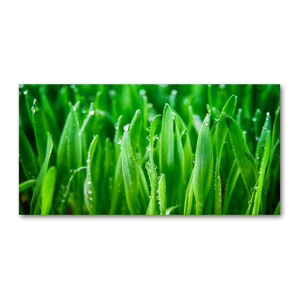 Quadro su vetro Erba