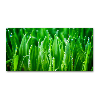 Quadro su vetro Erba
