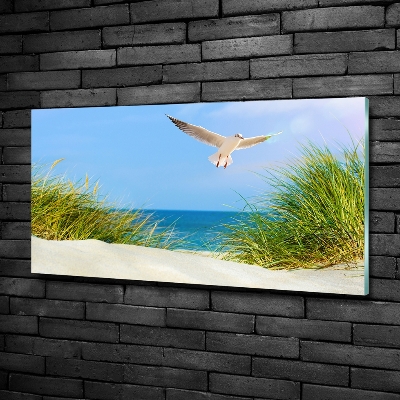 Quadro vetro Gabbiano sulla spiaggia