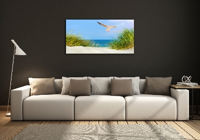 Quadro vetro Gabbiano sulla spiaggia