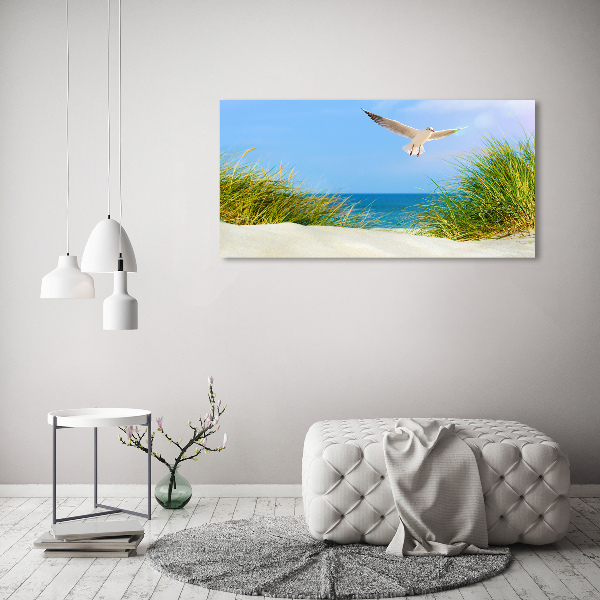 Quadro vetro Gabbiano sulla spiaggia