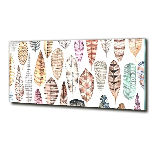 Quadro vetro Piume colorate