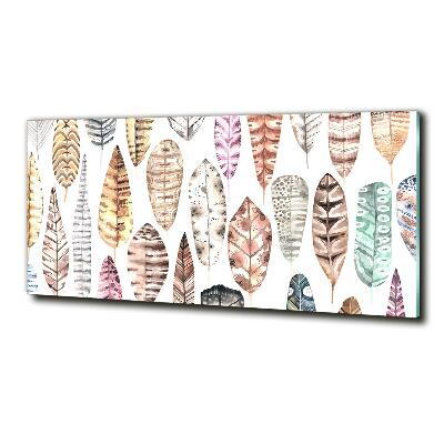 Quadro vetro Piume colorate