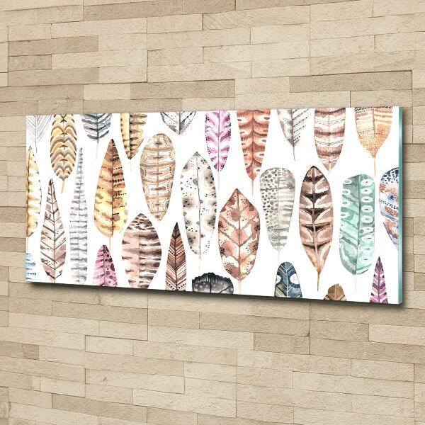 Quadro vetro Piume colorate