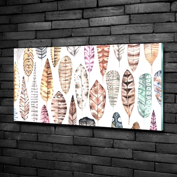 Quadro vetro Piume colorate