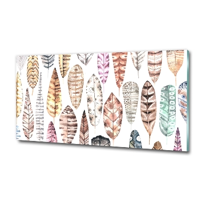 Quadro vetro Piume colorate