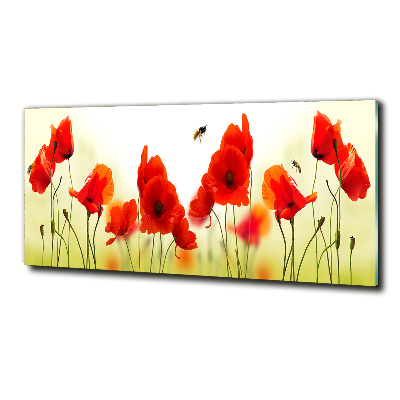 Quadro vetro Papaveri