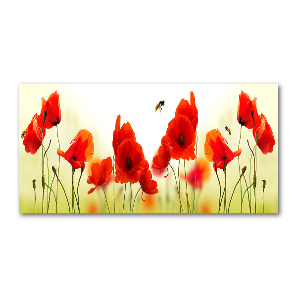 Quadro vetro Papaveri