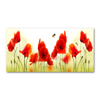Quadro vetro Papaveri