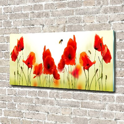 Quadro vetro Papaveri