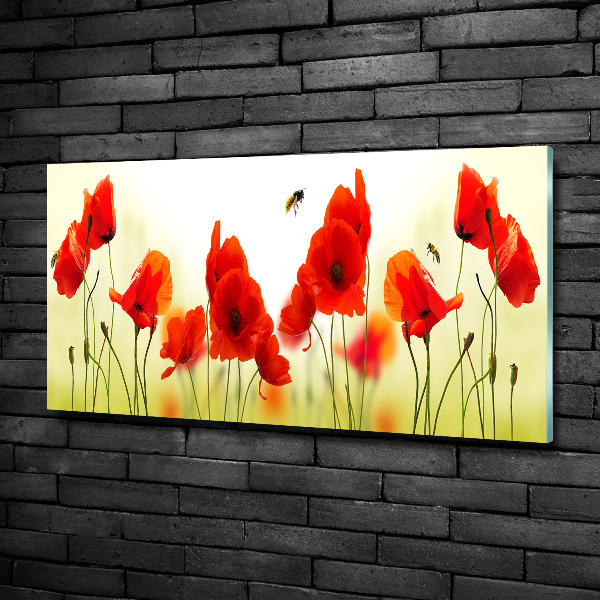 Quadro vetro Papaveri