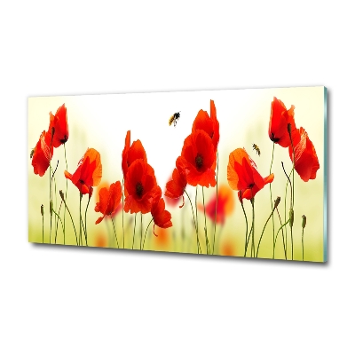 Quadro vetro Papaveri