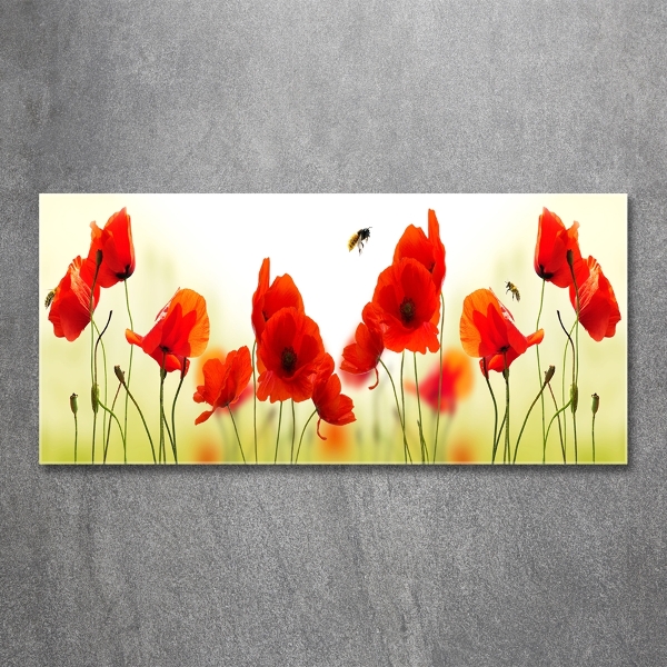 Quadro vetro Papaveri
