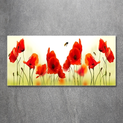 Quadro vetro Papaveri