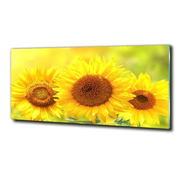Quadro in vetro Girasoli