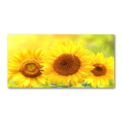 Quadro in vetro Girasoli