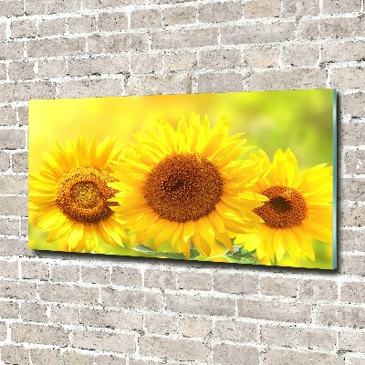 Quadro in vetro Girasoli